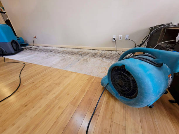 Professional Flood Damage Cleanup technician working in Morrison, IL
